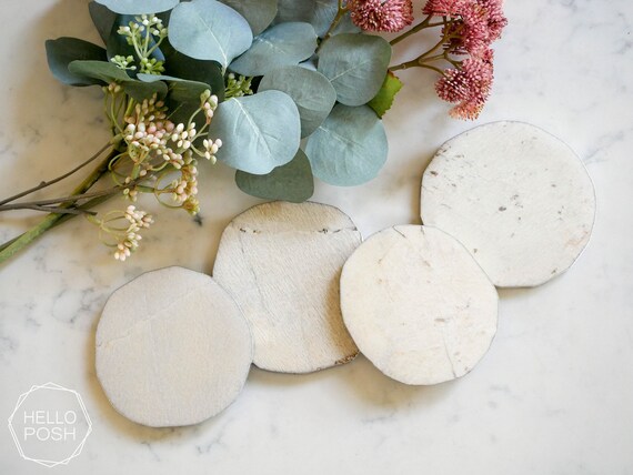 SALE. White Stone Coasters. Silver Plated. Ivory Coasters. Natural Home Decor Coaster Set. Neutral Minimalist Decor Etsy Ireland