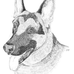Custom Pet Portrait