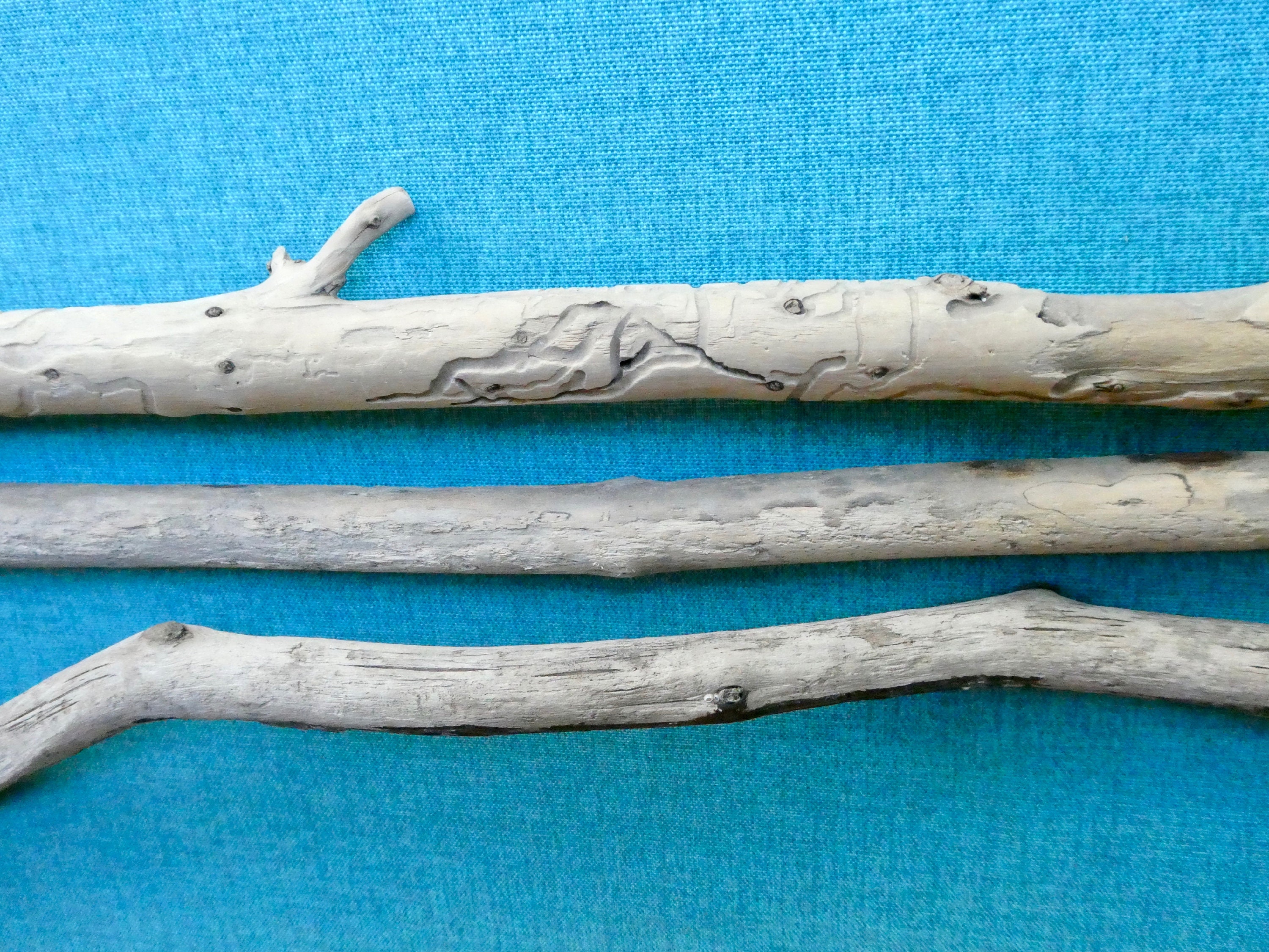 3 Driftwood Branches 2122.25 Textured MultiColoured Etsy