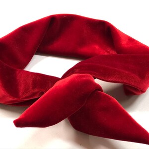 May include: A red velvet headband with a knotted design. The headband is made of soft, plush velvet and is perfect for adding a touch of elegance to any outfit.