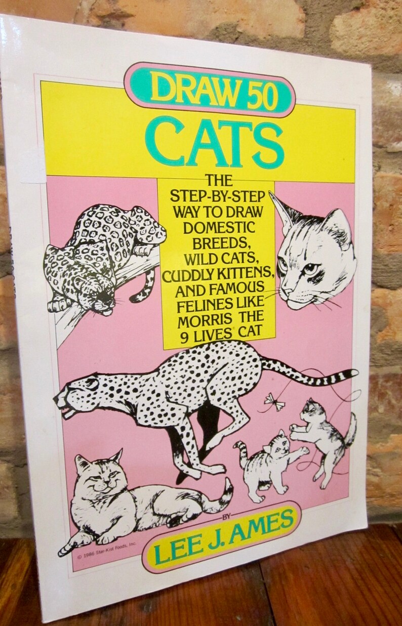 Cat Drawing Book How To Draw 50 Cats Zephyr Books Cat Lover Etsy