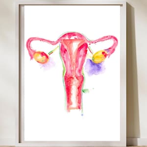 Uterus Anatomy, OBGYN Artwork, Gynecology Wall Art, OBGYN Gift, Midwife Art, Fertility Art Print, Female Reproductive System Watercolor
