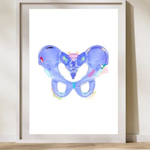 Arte anatomica del bacino, arte murale del fisioterapista del pavimento pelvico, arte ortopedica, regalo del chirurgo ortopedico, regalo di chirurgia dell&#39;anca, regalo di fisioterapia del bacino dell&#39;anca