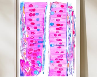 Duodenum histologie kunst, histologie kunstwerk, pathologie kunst, endoscopie biopsie, histologie tech cadeau, pathologie assistent geschenken