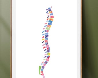 Spine Print - Anatomy Art Print - Medical Art  - Spine Art Print - Chiropractor Art - Chiropractor Gift - Physical Therapy Therapist Art
