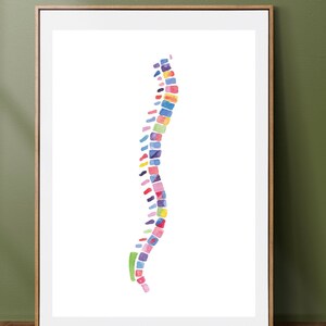 Spine Print Anatomy Art Print Medical Art Spine Art Print Chiropractor Art Chiropractor Gift Physical Therapy Therapist Art image 1