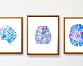 Brain Anatomy Art Print Set of Three for Neurology, Psychiatry, and Psychology Office, Neuroscience Artwork