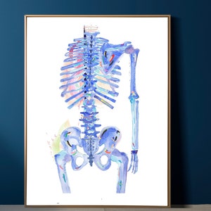 Human Anatomy Art, Physical Therapy Art, Chiropractic Art, Osteopathic Medicine, Osteopathic Doctor Gift, DPT gifts,  Medical Student Art