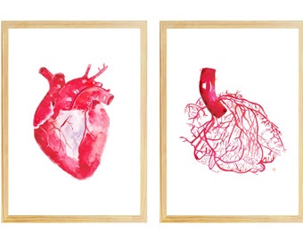 Art d'angiographie coronaire d'anatomie du coeur, décor de bureau médical de radiologie interventionnelle de cardiologie, cadeau de cardiologue, artères coronaires