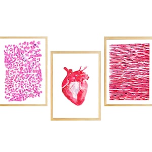 Könnte beinhalten: Drei gerahmte Aquarell-Illustrationen der menschlichen Anatomie. Der linke Rahmen zeigt eine mikroskopische Ansicht von Zellen in Rosa und Weiß. Der mittlere Rahmen zeigt ein rotes Herz. Der rechte Rahmen zeigt eine mikroskopische Ansicht von Muskelgewebe in Rosa und Weiß.