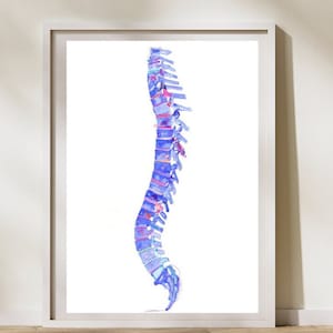 Spine Anatomy Art, Chiropractic Office Decor, Physical Therapy Artwork, Chiropractor Physical Therapist Gift, Spine Fine Art Print