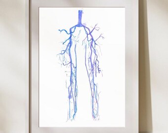 Könnte beinhalten: Gerahmter Aquarelldruck des menschlichen Gefäßsystems mit blauen und violetten Venen vor weißem Hintergrund. Das Kunstwerk ist in einem weißen Rahmen eingefasst und steht auf einem Holzboden.