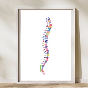 Spine Anatomy Art Print for Chiropractor and Physical Therapy Office, Gift for PT and Chiroprator Assistant Student