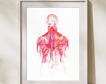 Muscle Anatomy of the Back Watercolor Painting Chiropractic Physical Therapy Massage Therapist Clinic Office Art, Gift for Chiropractor PT