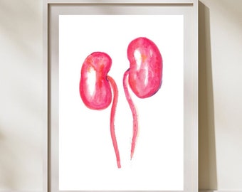 Kidney Art Print, Dialysis Artwork, Kidney Transplant Gift, Urology Doctor Gifts, Nephrology Gift