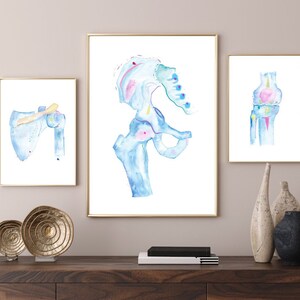 Chiropractic Wall Decor Set of three