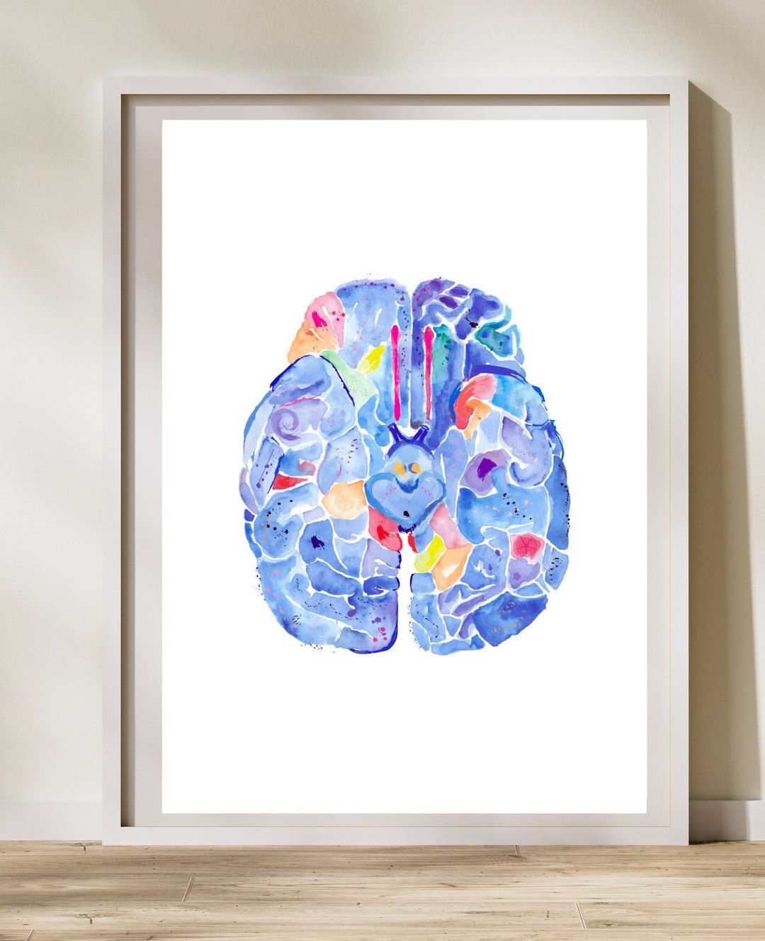 Brain Anatomy Watercolor Art Print, Neurology Office Decor - Etsy