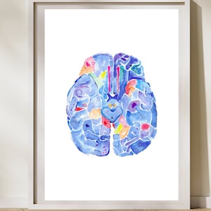 Brain Anatomy Watercolor Art Print, Neurology Office Decor - Etsy