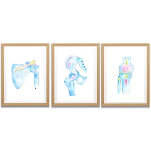 Fysiotherapie kunst, fysiotherapie kunst, kunst aan de muur chiropractie, fysiotherapie geschenken, cadeau chiropractie, chiropractor kunst, medische kunstwerken