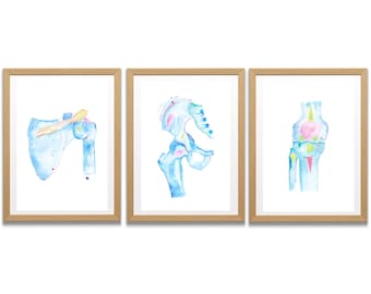 Physical Therapy Art, Physiotherapy Art, Chiropractic Wall Art, Physical Therapy Gifts, Chiropractic Gift, Chiropractor Art, Medical Artwork
