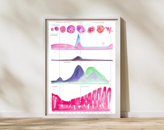 Menstrual Cycle Watercolor Art, Gynecology Decor, OBGYN Artwork Gift, Menstruation - Period Illustration - Menses