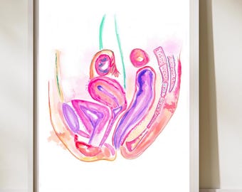 Pelvis femenina, Órganos reproductores femeninos, Anatomía de la pelvis, Arte ginecológico, Decoración de pared para consultorio ginecológico, Regalo ginecológico, Arte del útero, Arte urológico