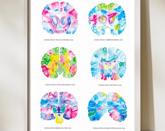 Brain Art, Brain Anatomy, Neuroscience Gift, Nervous System, Neurology Art, Neurologist Gift, Neurology Print, Neuroscience Art