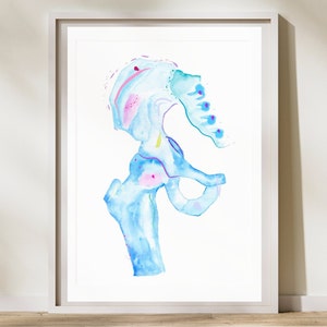 Hip Joint, Pelvis Anatomy Art, Orthopedic Art, Chiropractic Art, Physical Therapy Art, Orthopedic Surgery Gift, Chiropractor Gift, DrPT Gift