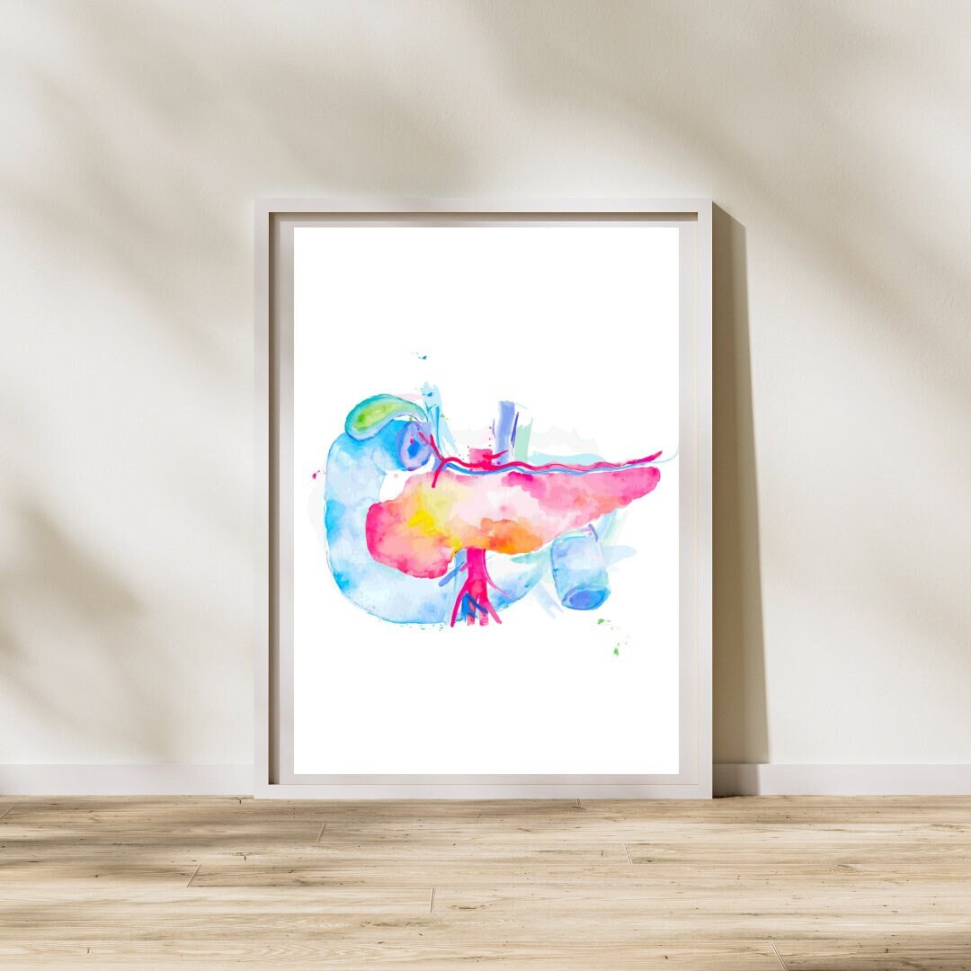 Gastroenterology Gastrointestinal Art, Digestive System, General ...