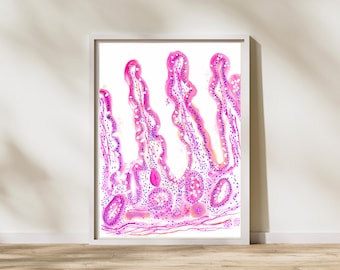 Jejunum histologie, dunne darm histologie kunst, gastro-enterologie kunst, pathologie kunst, cadeau voor patholoog