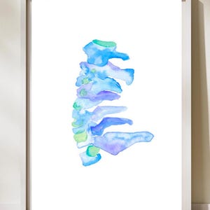 Spine Wall Art, Physical Therapy Artwork,  Chiropractic Art, Spine Decor, Chiropractor Gift, Cervical Spine, Physiotherapist Gift