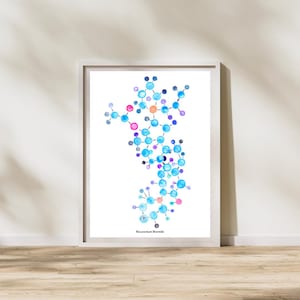 Może przedstawiać: Aquarela przedstawiająca strukturę chemiczną, Bromowodorek rokuronium, z niebieskimi, różowymi i pomarańczowymi kółkami połączonymi liniami. Obraz jest oprawiony w białą ramę.