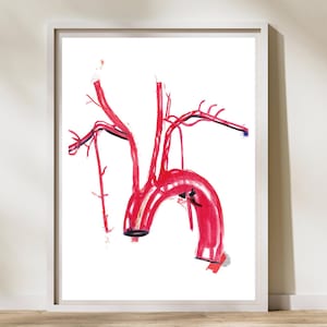 Aorta Anatomy, Aorta Art, Cardiology Art, Human Anatomy Art, Interventional Cardiology Cardiologist Gift, Physician Art, Medical Student Art