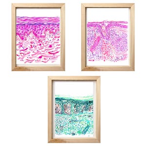 Huid, dermatologie OfficeArt, histologie kunst, histopathologie print, cadeau voor patholoog, dermatopathologie kunst, dermatoloog cadeau