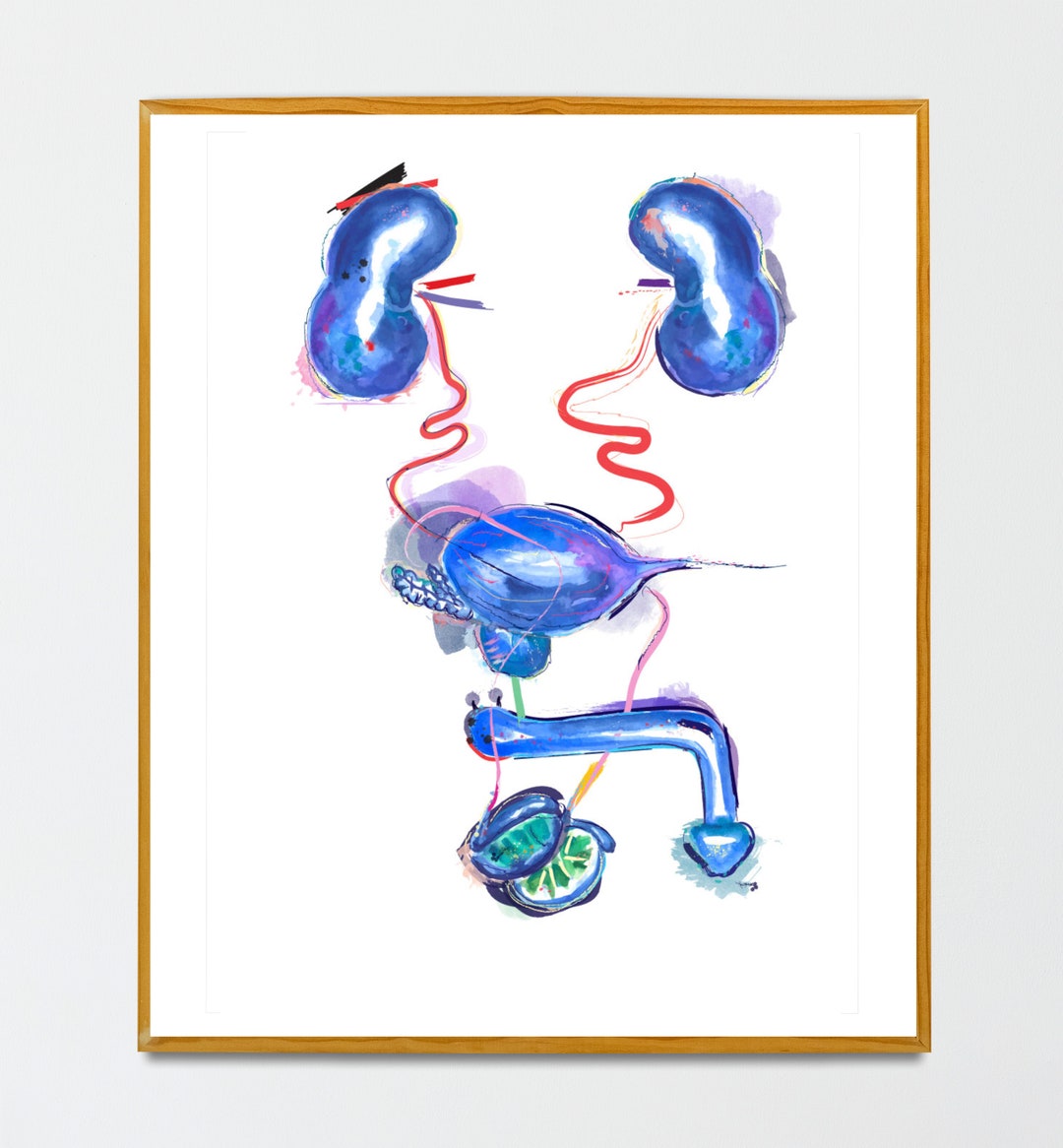 Urology Art, Urologist Gift, Kidney Art, Male Reproductive Organs