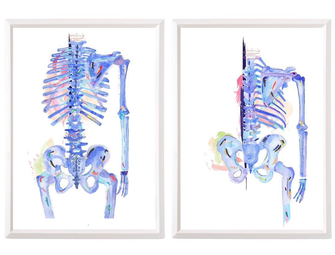 Human Skeleton Anatomy Art Print - Chiropractor and Physical Therapy ...