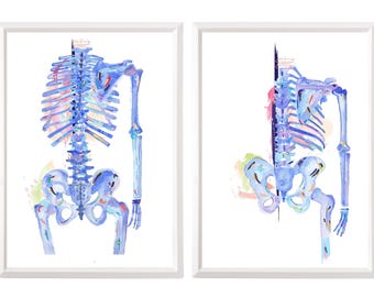 Human Skeleton Anatomy Art Print - Chiropractor and Physical Therapy Artwork Gifts