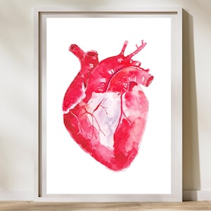 Heart Watercolor Anatomy Art Print, Cardiologist Art Gifts, Cardiology Medical Clinic Wall Decor, Cardio Artwork, Cardiac Nurse PA Gifts
