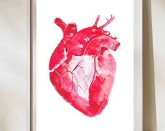 Hart aquarel anatomie Art Print, cardioloog kunstcadeaus, cardiologie medische kliniek wanddecoratie, cardiokunstwerk, hartverpleegkundige PA geschenken
