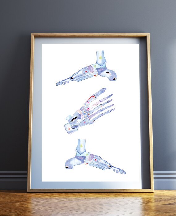 Foot Anatomy Art Physical Therapy Art Physiotherapist Gift Etsy