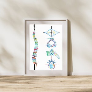 Spine Art, Physical Therapist, Chiropractic Wall Art, Physiotherapy Poster, Anatomy Poster, Watercolor Spine, Chiropractor Gift, Osteopathic