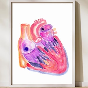 Herzanatomie, Herzkammern und -klappen, Kardiologen Geschenk, Herzchirugie Geschenk, Herz Sonographer Geschenk, Kardiologie Büro Dekor Klinik