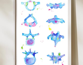 Vertebrae Art, Chiropractic Poster, Chiropractor Gift, Physiotherapy Art, Physical Therapy Gifts, Physical Therapy Art, Chiropractor Decor