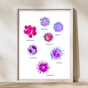 Hematology Art, Blood Cell Art, Laboratory Art, Hematologist Gift, Oncology Art, Lab Tech Gift, Medical Science Art, Physiology Art