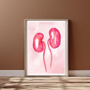 Kidney Art, Kidney Disease Awareness, Nephrology Doctor Day Gifts, Kidney Donor Gift, Kidney Medical Art, Kidney Print, Dialysis Gift Nurse