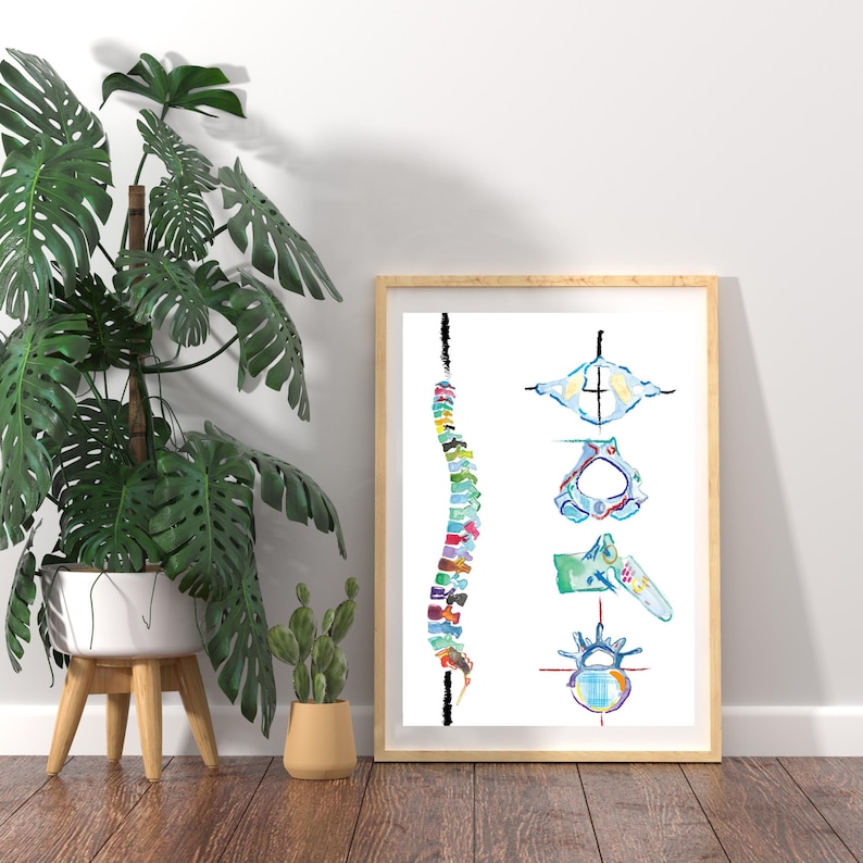 Spine Vertebrae Art, Physical Therapy Art, Chiropractic Art, Massage Therapy Art, Physiotherapy Chiropractic Posters, Chiropractor Gift image 4