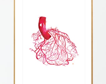 Heart Anatomy Vascularization, Heart Arteries, Interventional Cardiology Cardiologist Gift, Radiology Technician Gift