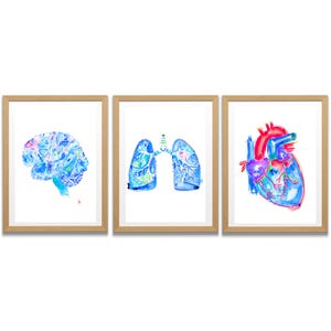 Watercolor Anatomy Art Print Set – Medical Office Decor - Etsy
