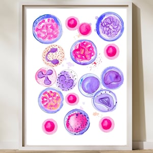 Blutkörperchen, Biologie Geschenke, Zellbiologie Kunst, Hämatologie Kunst, Hämatologie Büro, Geschenk für Hämatologie Krankenschwester