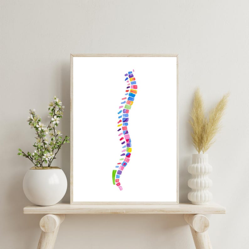 Watercolor Spine Anatomy Art Print – Chiropractic and Physical Therapy ...
